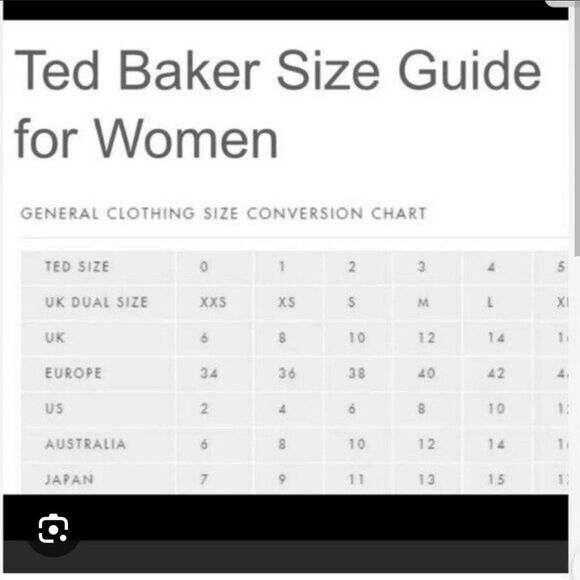 Ted Baker London Jasmaii Geometric Panel Dress Size 6 - Picture 11 of 11